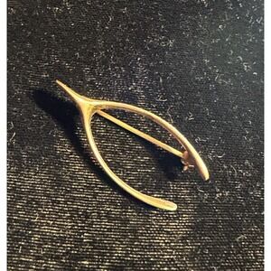 Sterling Silver Wishbone Pin Make a Wish